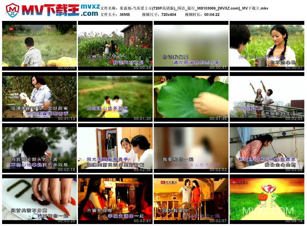 张嘉旭-当瓜爱上豆(720P高清版)_国语_流行_MB103069